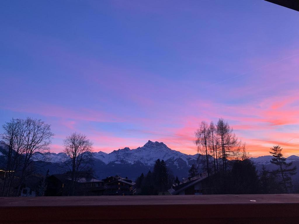 Chalet La Renarde Villars-sur-Ollon Exterior foto